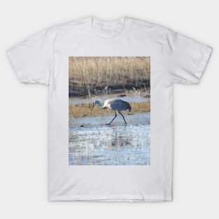 Sandhill Crane in Frozen Malheur NWR T-Shirt